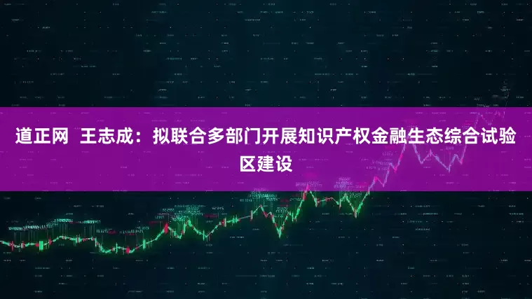 道正网  王志成：拟联合多部门开展知识产权金融生态综合试验区建设