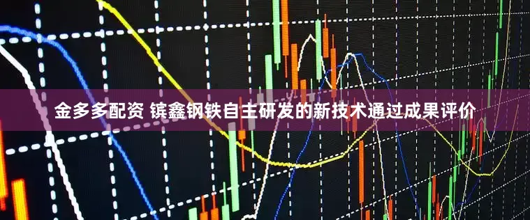 金多多配资 镔鑫钢铁自主研发的新技术通过成果评价