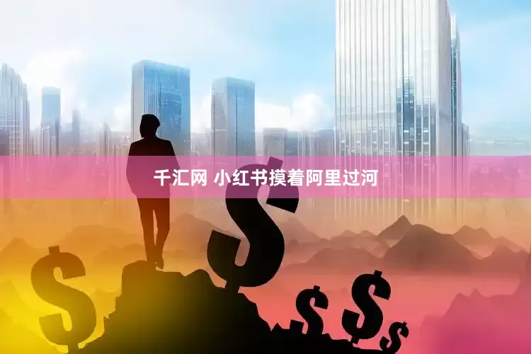 千汇网 小红书摸着阿里过河