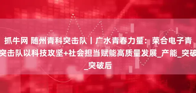 抓牛网 随州青科突击队丨广水青春力量：荣合电子青科突击队以科技攻坚+社会担当赋能高质量发展_产能_突破后