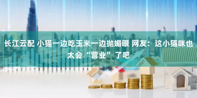 长江云配 小猫一边吃玉米一边抛媚眼 网友：这小猫咪也太会 “营业” 了吧